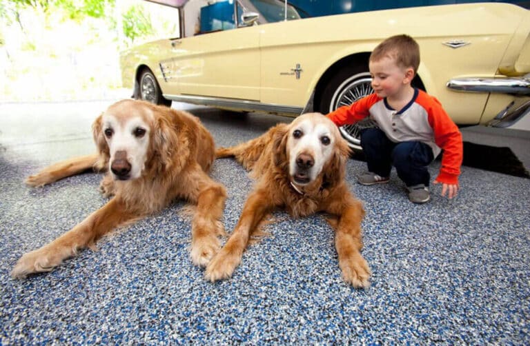 boy with dogs on the best garage floor coating