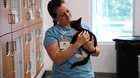 Animal Welfare Association Testimonial